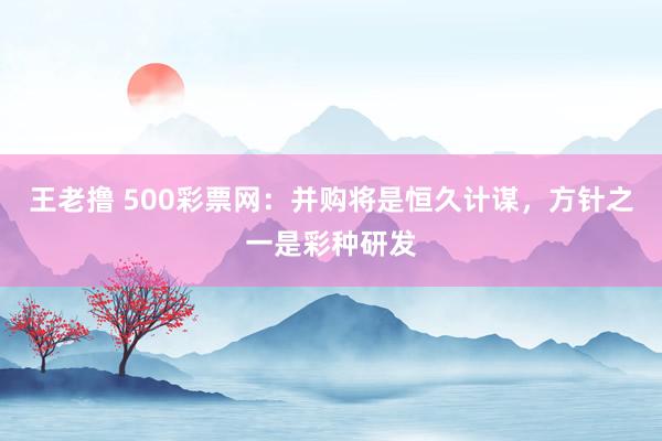 王老撸 500彩票网：并购将是恒久计谋，方针之一是彩种研发