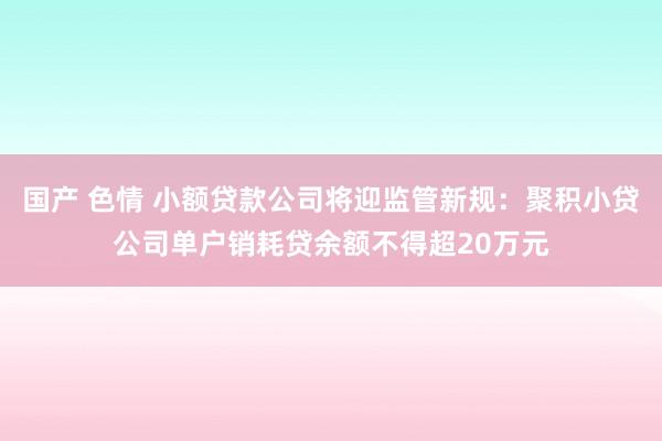 国产 色情 小额贷款公司将迎监管新规：聚积小贷公司单户销耗贷余额不得超20万元