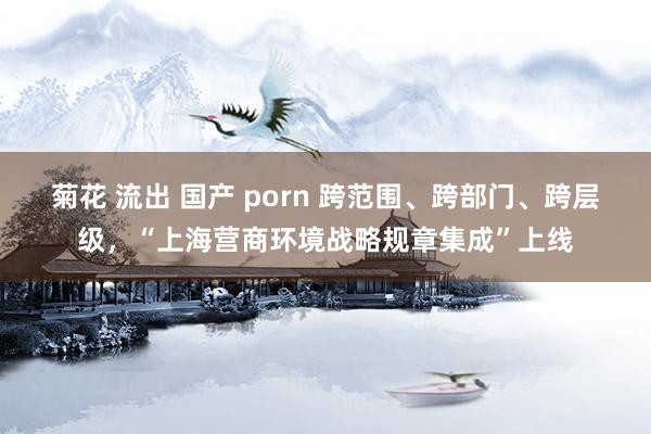 菊花 流出 国产 porn 跨范围、跨部门、跨层级，“上海营商环境战略规章集成”上线