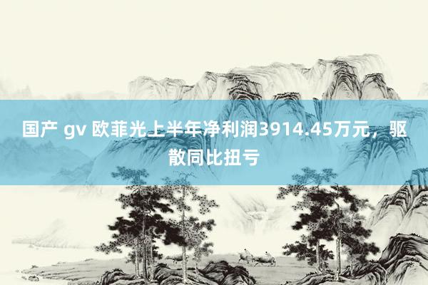 国产 gv 欧菲光上半年净利润3914.45万元，驱散同比扭亏