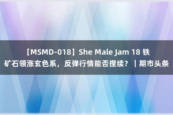 【MSMD-018】She Male Jam 18 铁矿石领涨玄色系，反弹行情能否捏续？｜期市头条