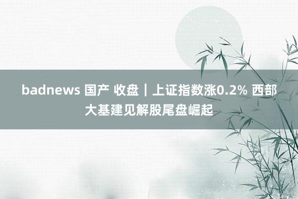 badnews 国产 收盘｜上证指数涨0.2% 西部大基建见解股尾盘崛起