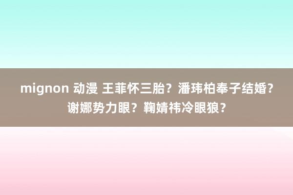 mignon 动漫 王菲怀三胎？潘玮柏奉子结婚？谢娜势力眼？鞠婧祎冷眼狼？