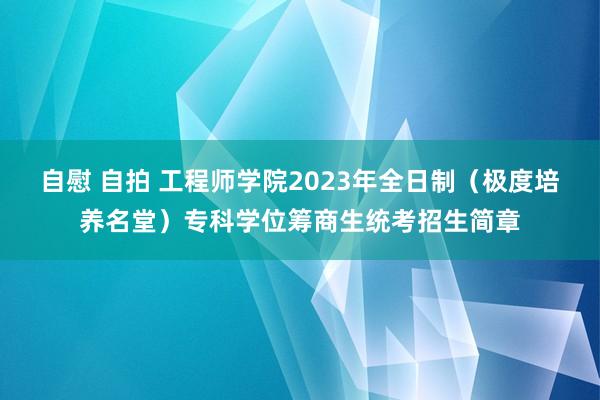 自慰 自拍 工程师学院2023年全日制（极度培养名堂）专科学位筹商生统考招生简章