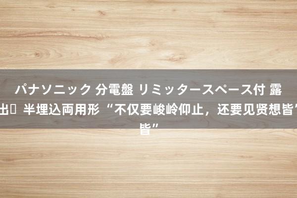 パナソニック 分電盤 リミッタースペース付 露出・半埋込両用形 “不仅要峻岭仰止，还要见贤想皆”