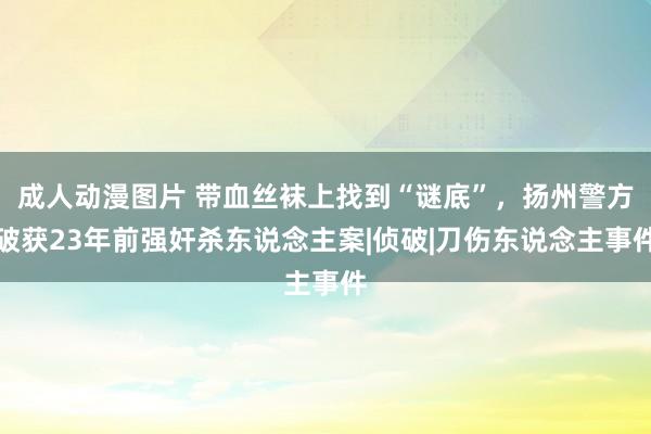 成人动漫图片 带血丝袜上找到“谜底”，扬州警方破获23年前强奸杀东说念主案|侦破|刀伤东说念主事件