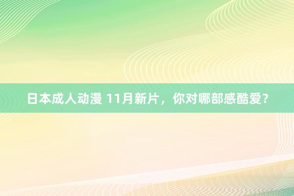 日本成人动漫 11月新片，你对哪部感酷爱？