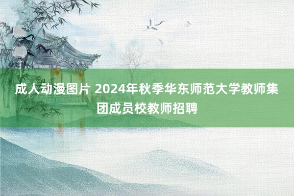 成人动漫图片 2024年秋季华东师范大学教师集团成员校教师招聘