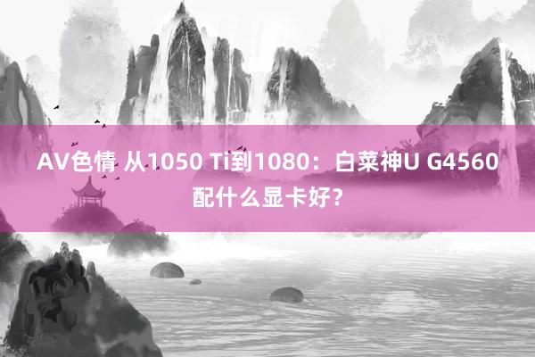 AV色情 从1050 Ti到1080：白菜神U G4560配什么显卡好？