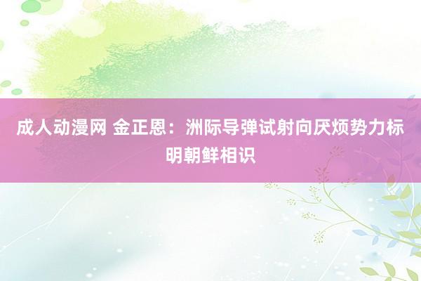 成人动漫网 金正恩：洲际导弹试射向厌烦势力标明朝鲜相识