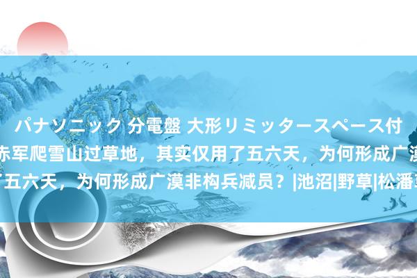 パナソニック 分電盤 大形リミッタースペース付 露出・半埋込両用形 赤军爬雪山过草地，其实仅用了五六天，为何形成广漠非构兵减员？|池沼|野草|松潘草地