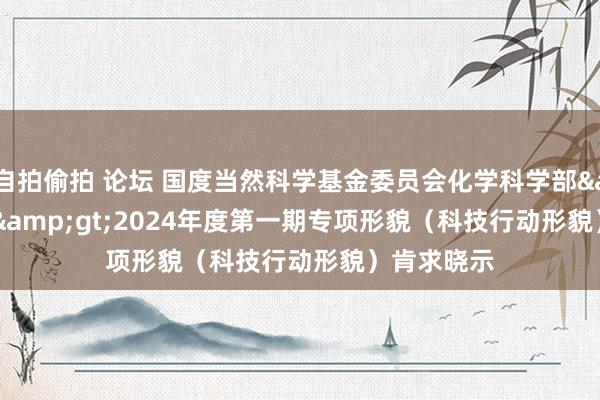 自拍偷拍 论坛 国度当然科学基金委员会化学科学部&lt;br&gt;2024年度第一期专项形貌（科技行动形貌）肯求晓示