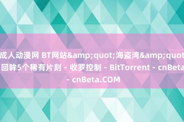 成人动漫网 BT网站&quot;海盗湾&quot;五岁:回眸5个稀有片刻 - 收罗控制 - BitTorrent - cnBeta.COM